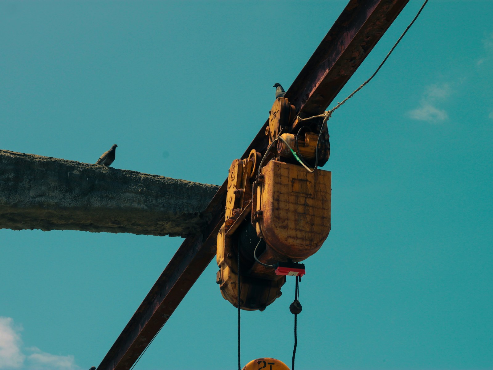 a bird sitting on top of a wooden beam